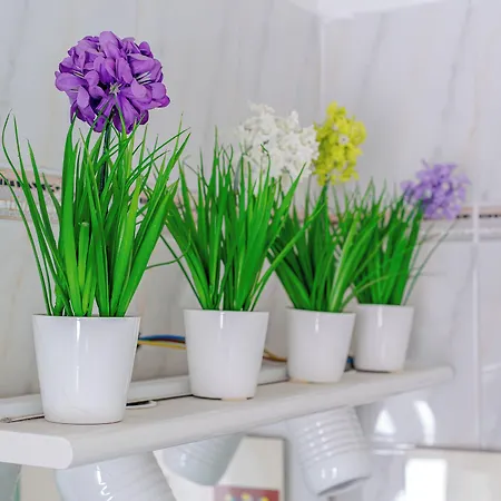 דירה Italianway - Costaguta 75 ראפאלו