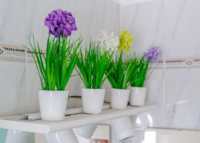 Italianway - Costaguta 75 * راباللو